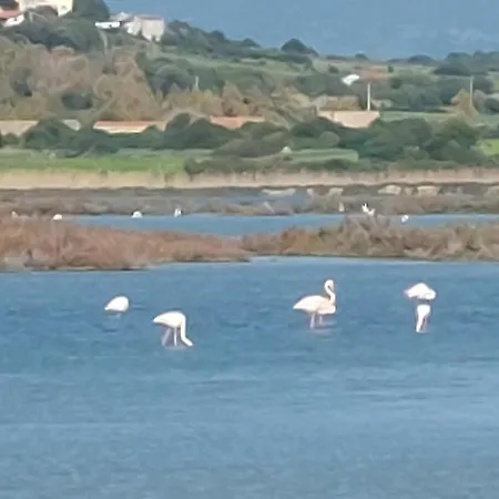 Del Vigneto Panzió *